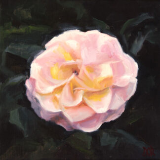 A blooming rose, painting by Daniel O'Rourke